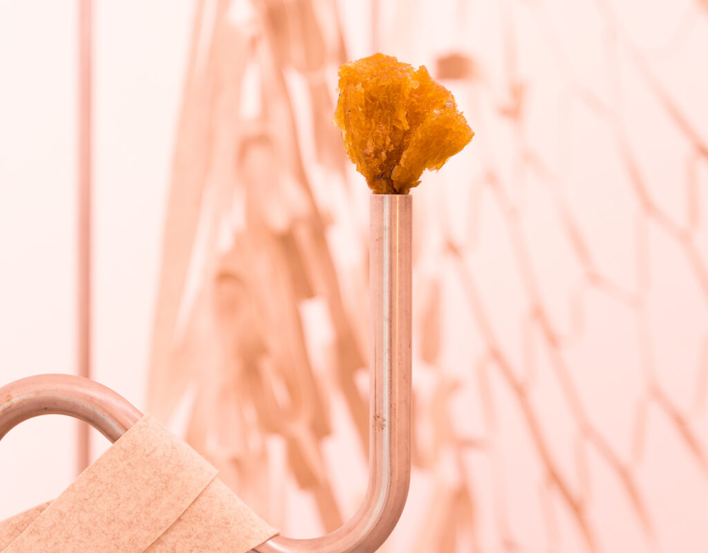 oVo / Birk Bjørlo og Lea Gulditte Hestelund - oVo - Installation view - Huset for Kunst og Design Holstebro 2020 (Detail) 