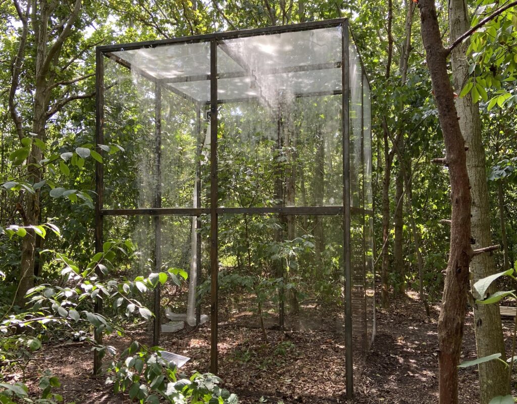 Rune Bosse - Hummings - KOES - Museum of art in public places 2021 