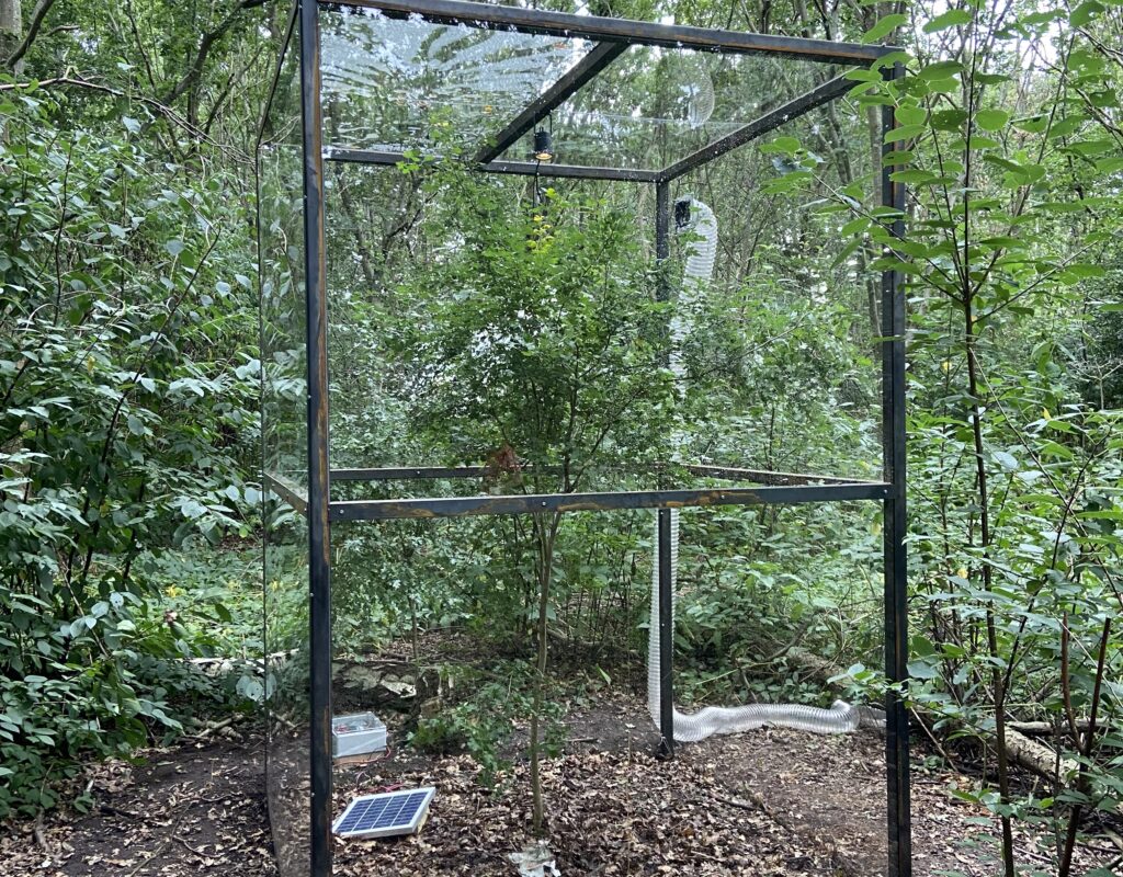 Rune Bosse - Hummings - KOES - Museum of art in public places 2021