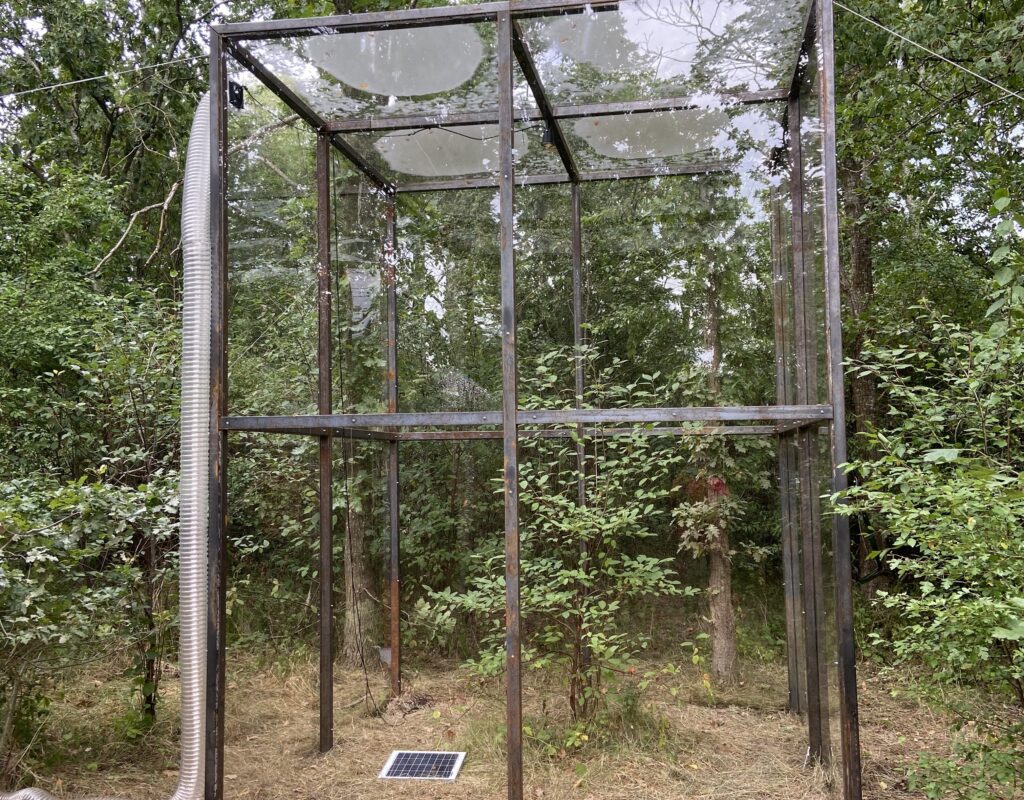 Rune Bosse - Hummings - KOES - Museum of art in public places 2021