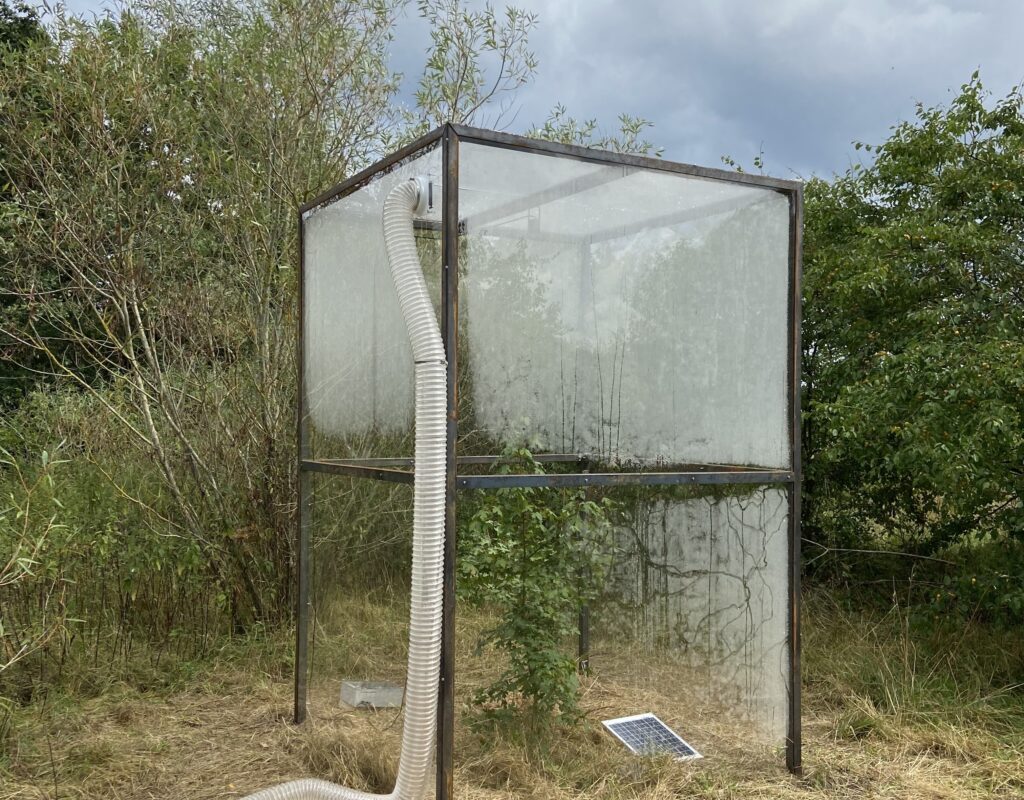 Rune Bosse - Hummings - KOES - Museum of art in public places 2021