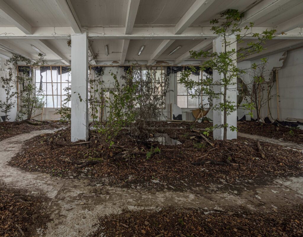 Rune Bosse - Stien eller Tid Mellem Træer - Installation view - Overgaden 2019