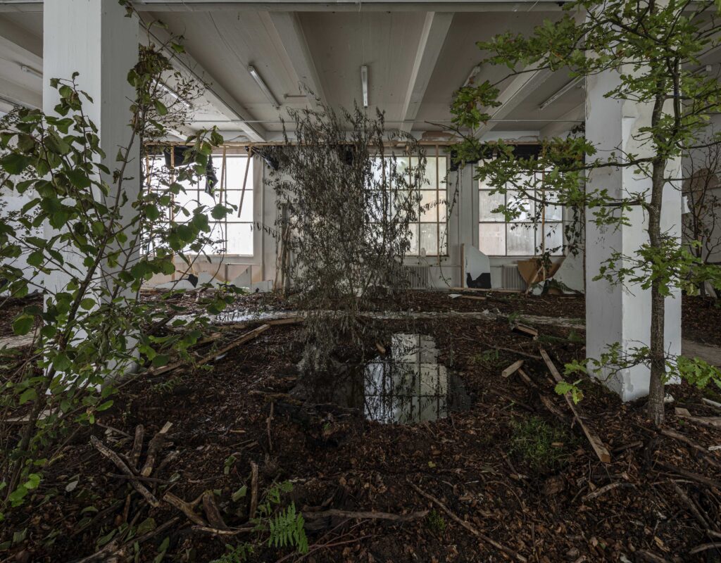 Rune Bosse - Stien eller Tid Mellem Træer - Installation view - Overgaden 2019