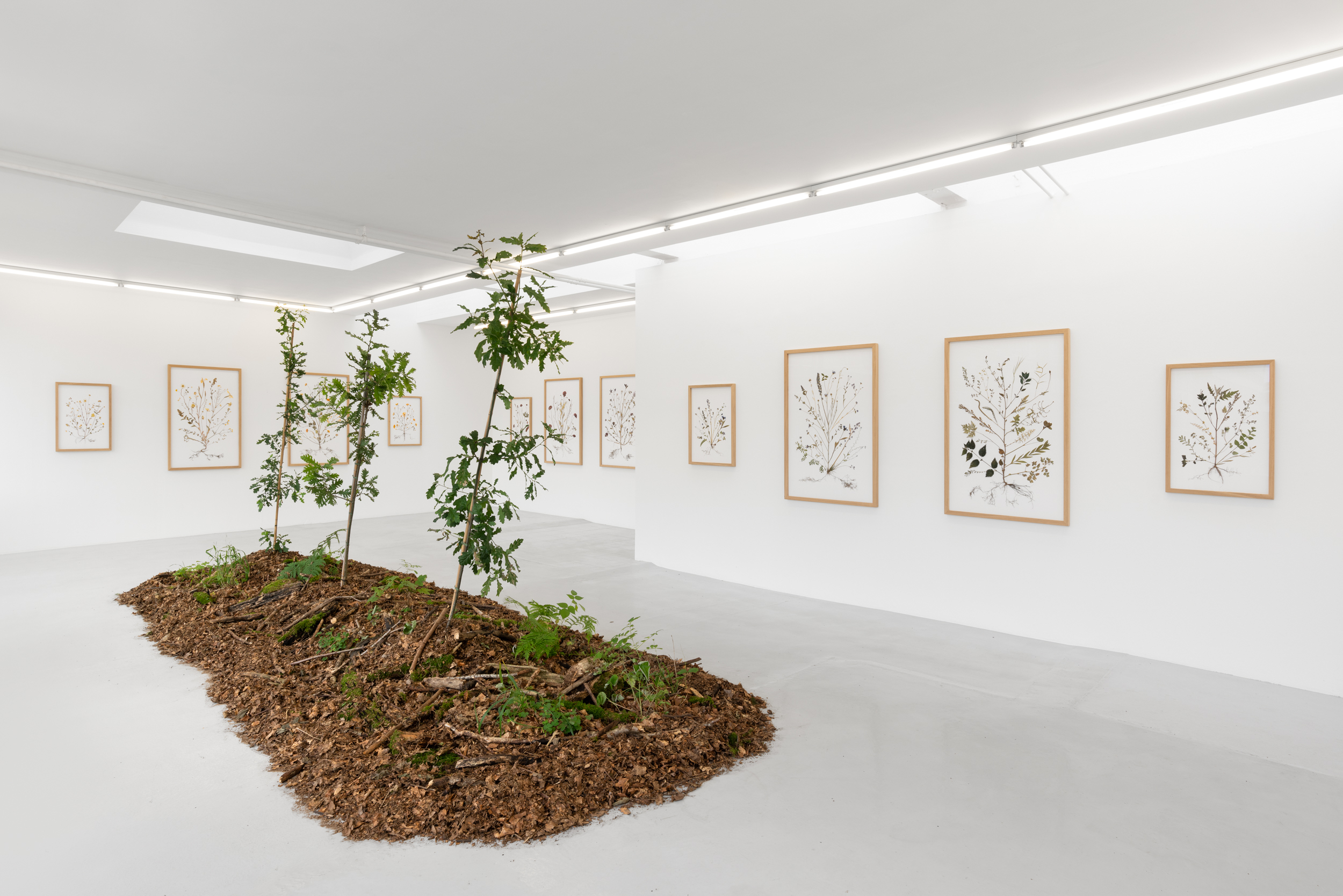 Thumbnail image for Rune Bosse | striptags