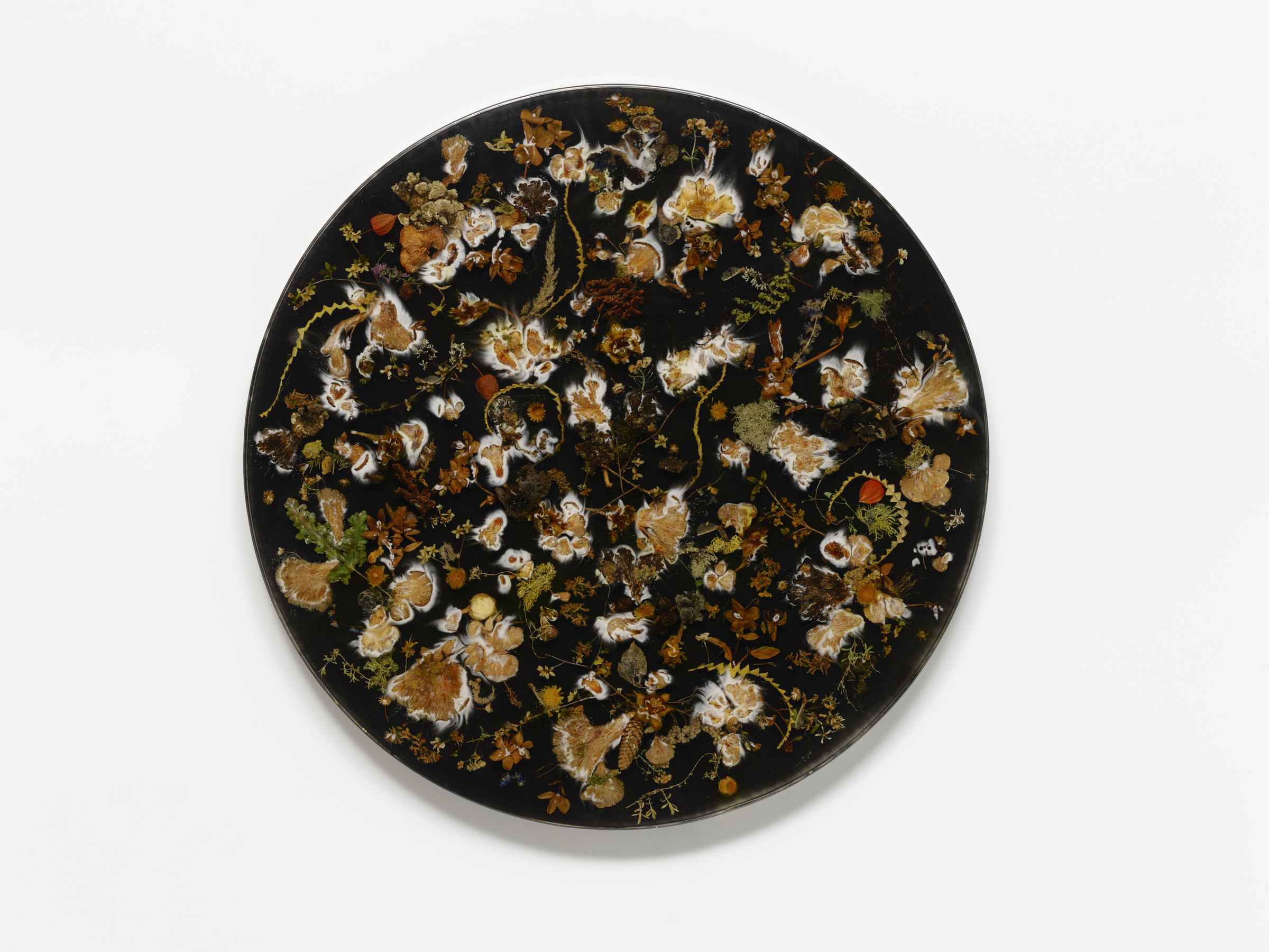 Thumbnail image for Rhoda Ting & Mikkel Bojesen | striptags